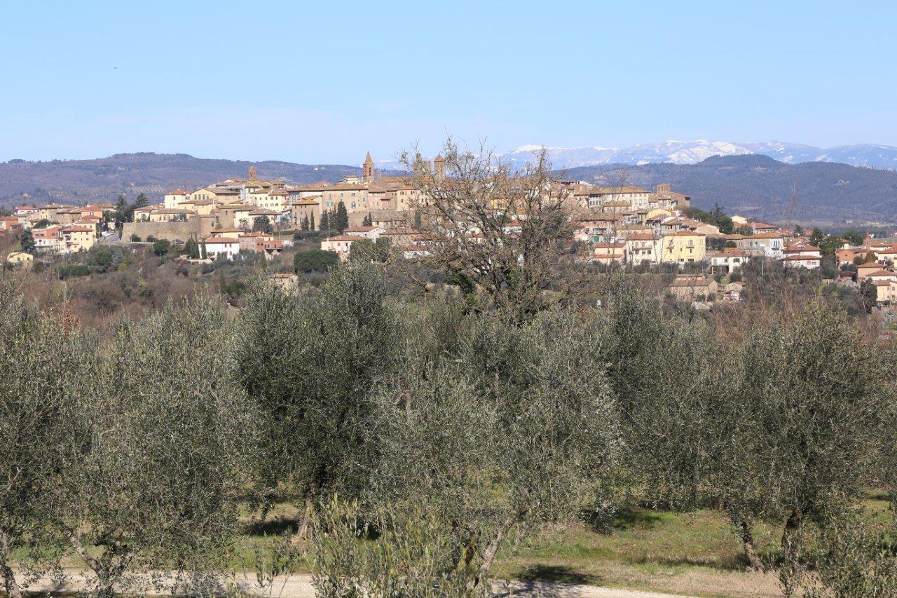 Olificio Toscano Morettini - produzione olio extra vergine d'oliva